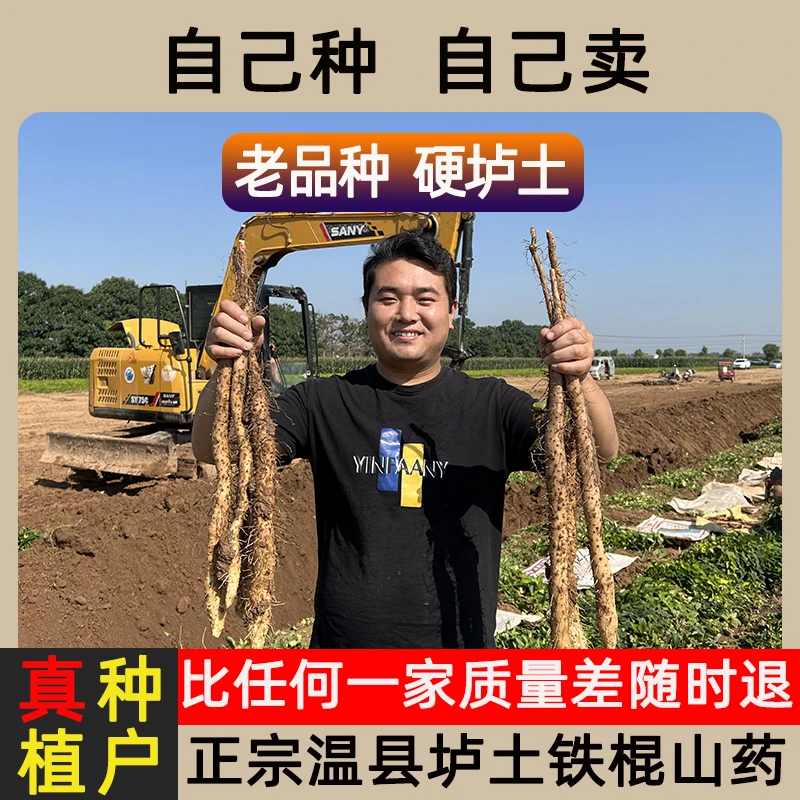 【宠粉福利3】大龙河南温县垆土铁棍山药软糯粉面营养高的滋补食材
