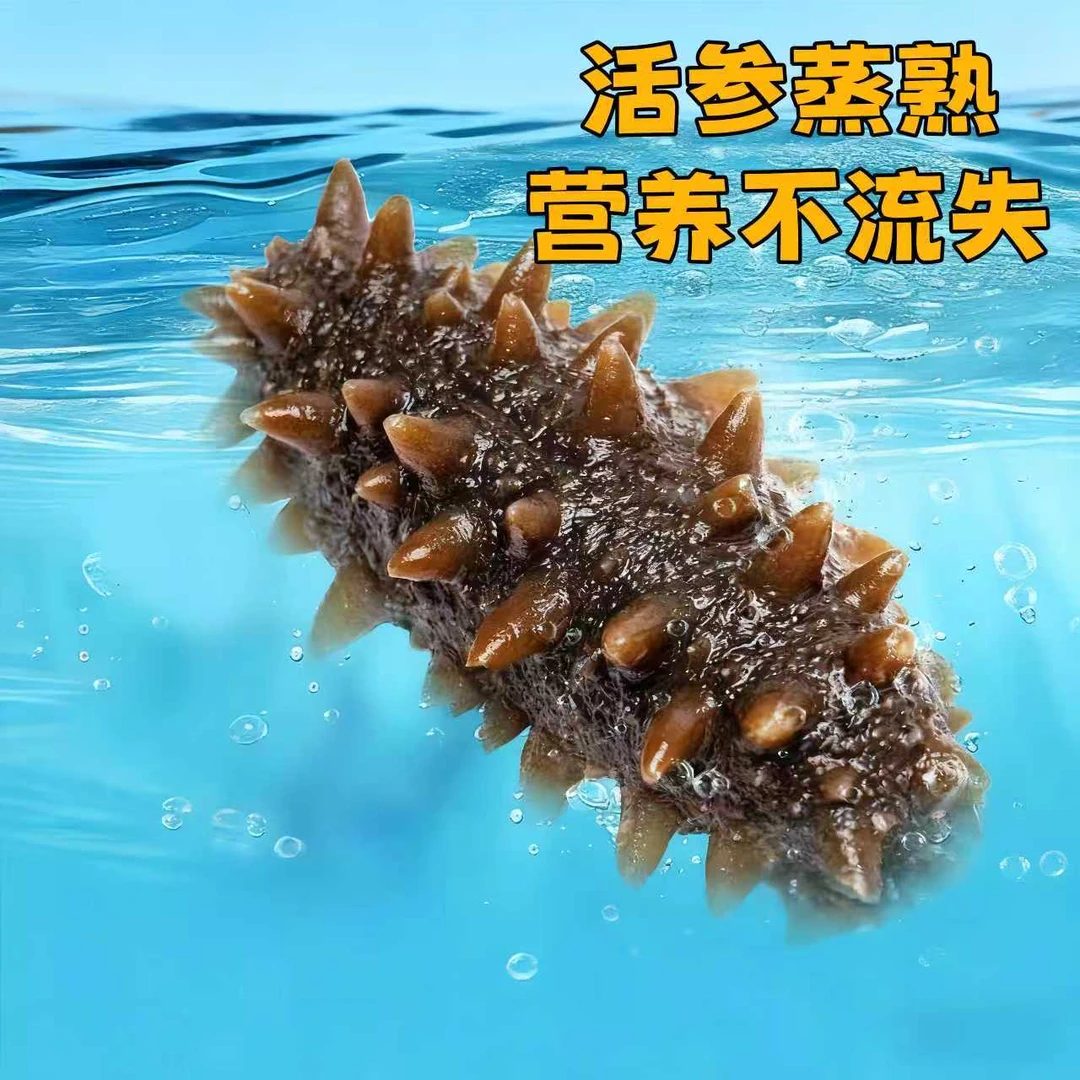 头茬秋参破价福利 即食海参 Q弹软糯 正宗大连辽刺参