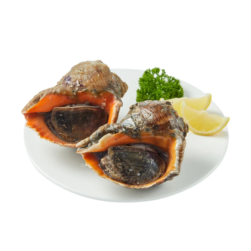 鲜活海螺（250-500g）