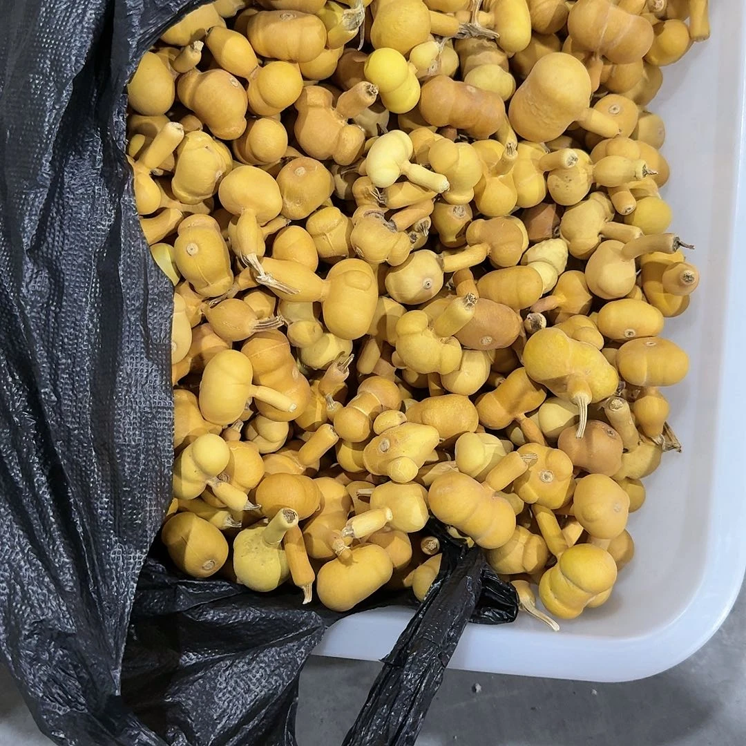 吴***保木没20个米齐unmoored