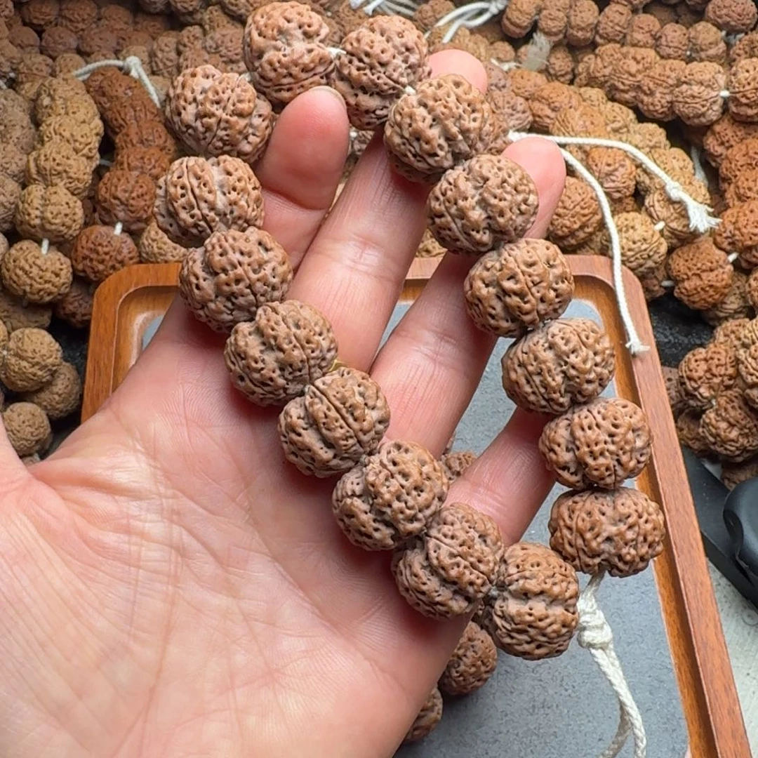 @***客菩提菩提4号尼泊尔金刚21龙牙梅花