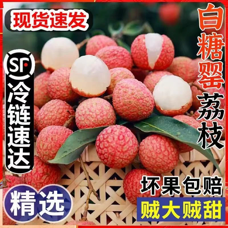 高州白糖罂荔枝新鲜采摘头茬果顺丰包邮到家