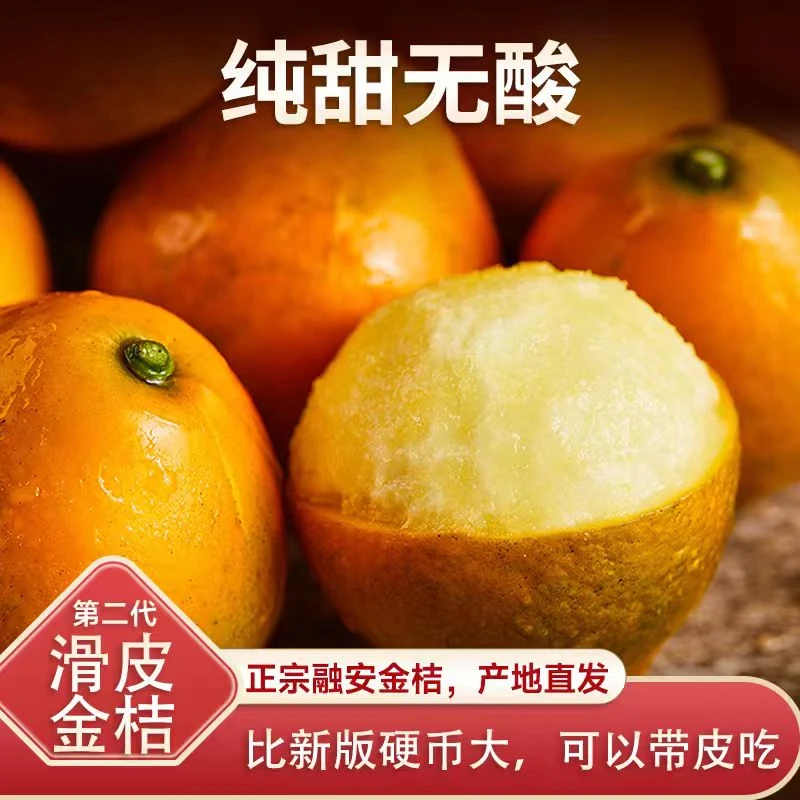 【核心产区】正宗广西融安滑皮金桔纯甜不酸脆甜爆汁不打蜡现摘现发