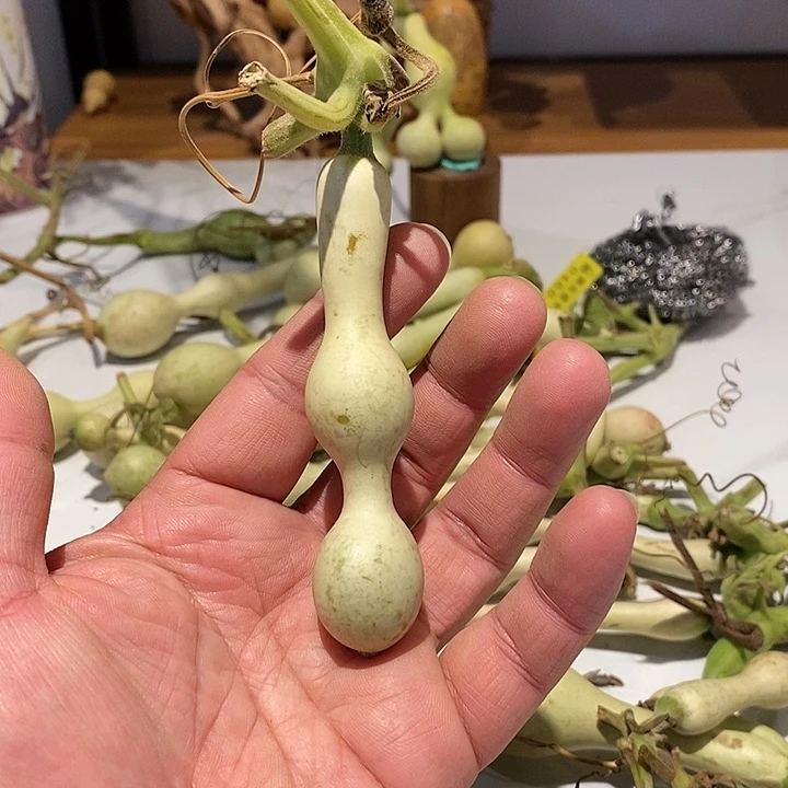 福**芦精品葫芦手把葫芦5