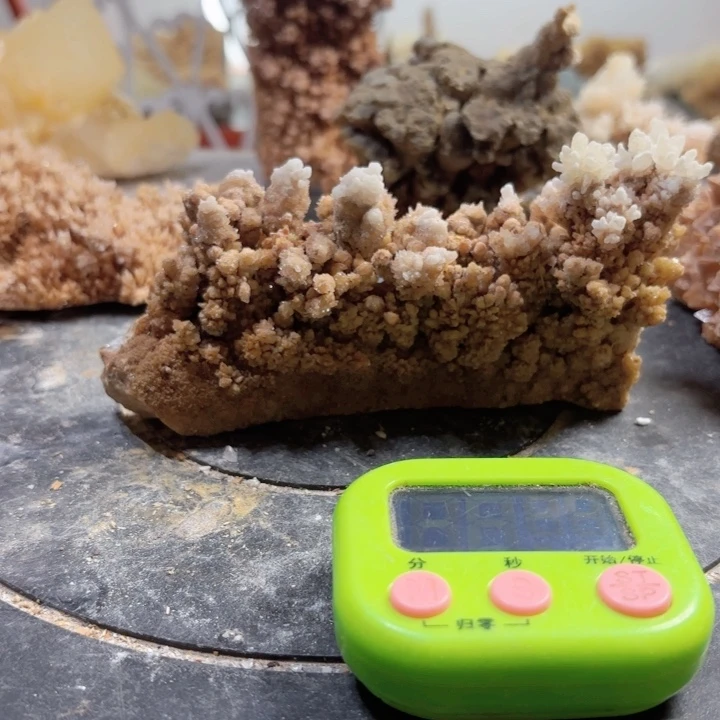 小**活纯天然天然