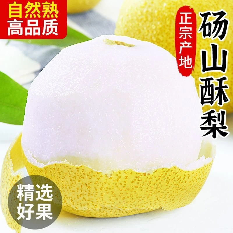 【砀山酥梨】砀山酥梨果皮薄细腻化渣脆甜多汁爽口
