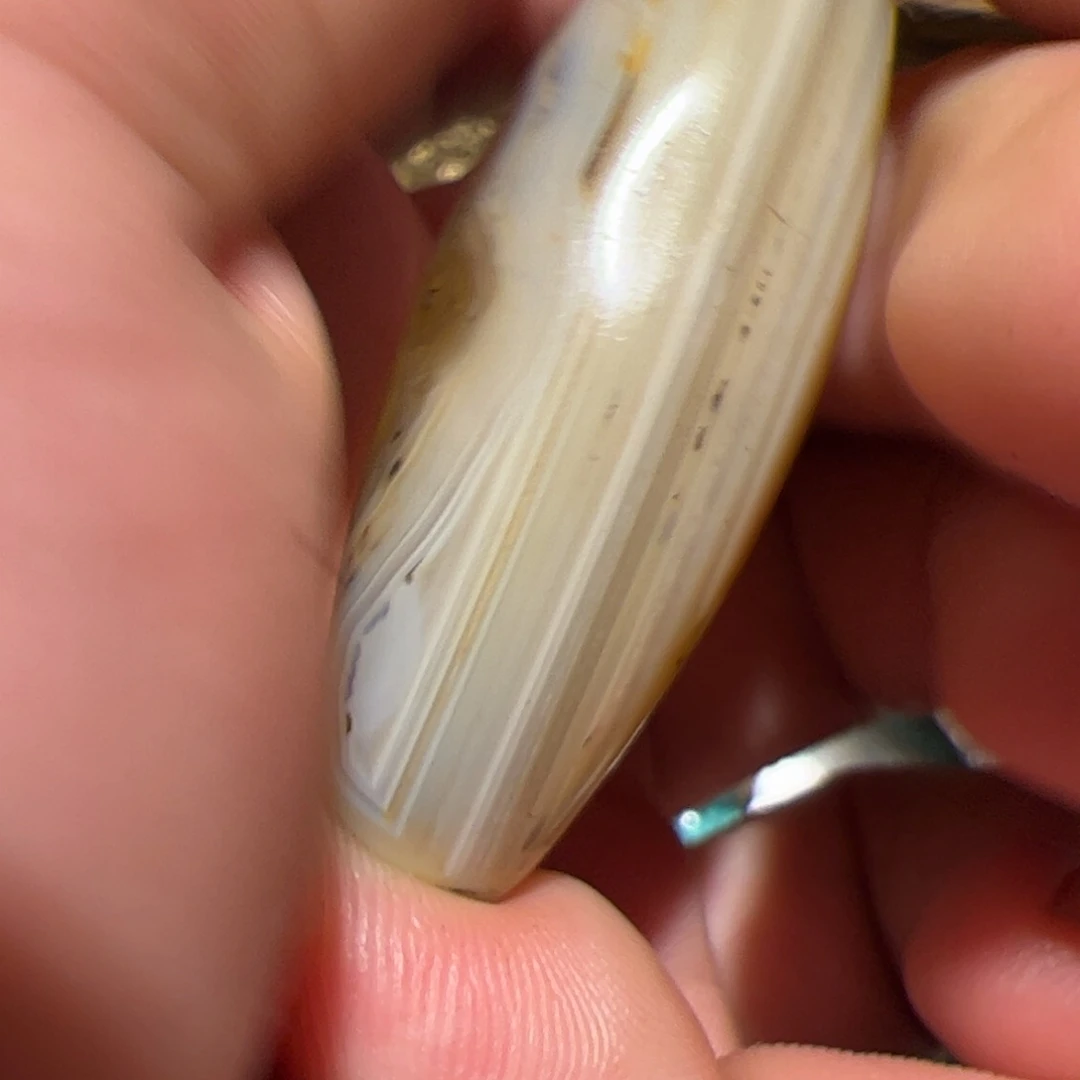 香榧木你的时候你