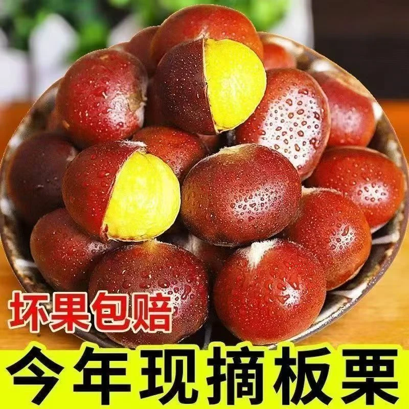 【买3斤送2斤】新鲜现摘老树板栗清脆甘甜鲜香生栗子难剥皮送栗爪