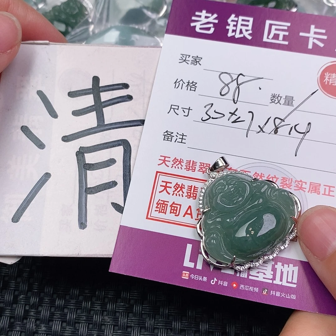 翡翠银S925镶嵌颈饰