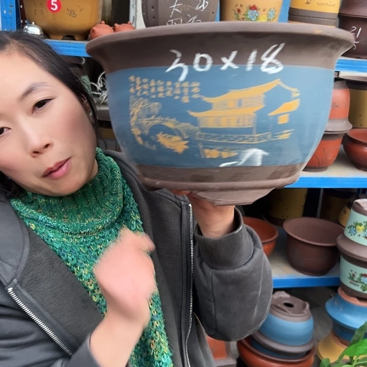 30蓝江南水乡花盆花盆花盆