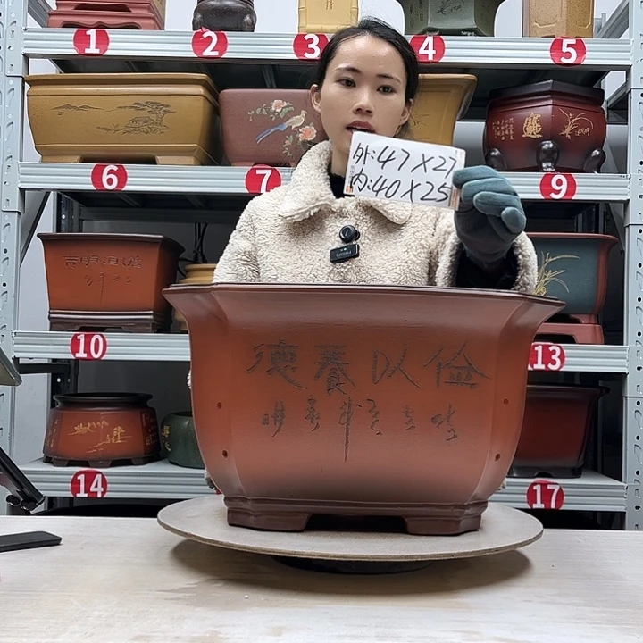 紫砂花盆紫砂花盆