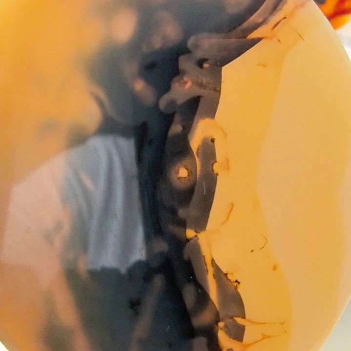 非金属时尚饰品45