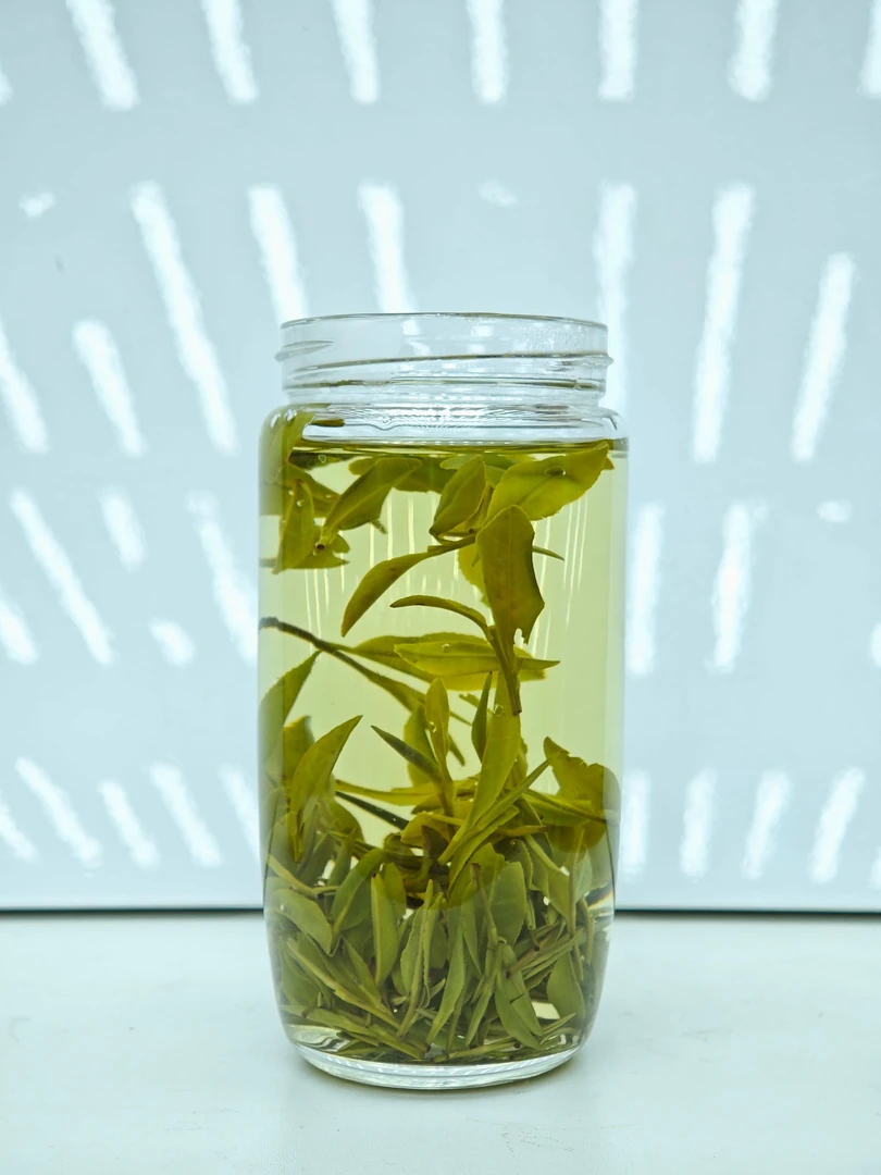 【白茶开播福利】2025年新茶正宗白茶春茶香气高扬茶汤浓郁（福利）