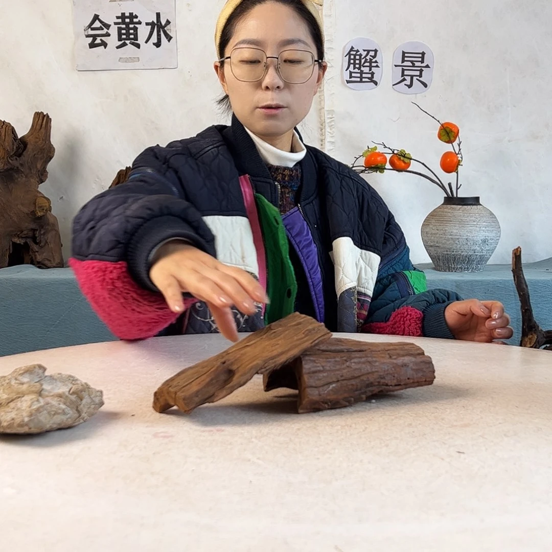 沉木造景寄居蟹造景
