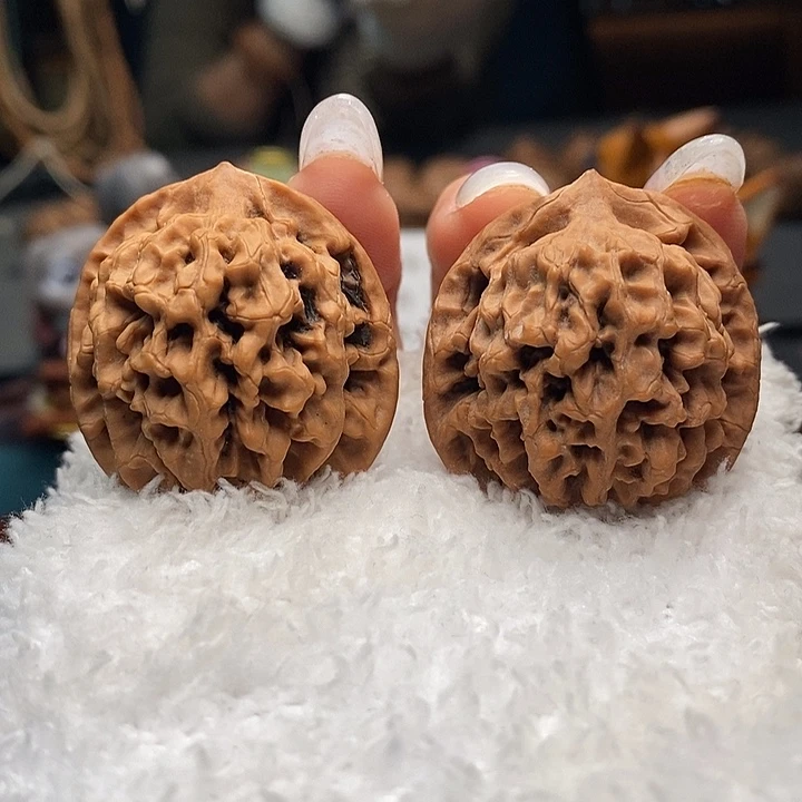 核桃1号 35尺秦闷 全品 精品