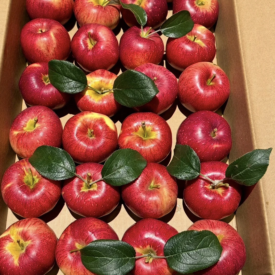 云南昭通高原红露苹果纯甜无酸少量糖心现摘现发自家果园