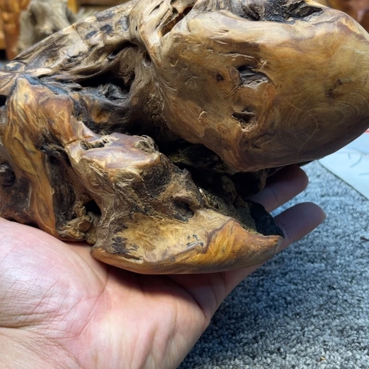 柏木（崖柏）崖柏199