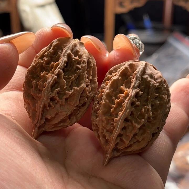 文玩核桃把件楸大胖25