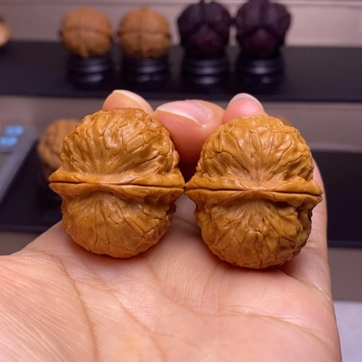 文玩核桃把件金龟子元宝12