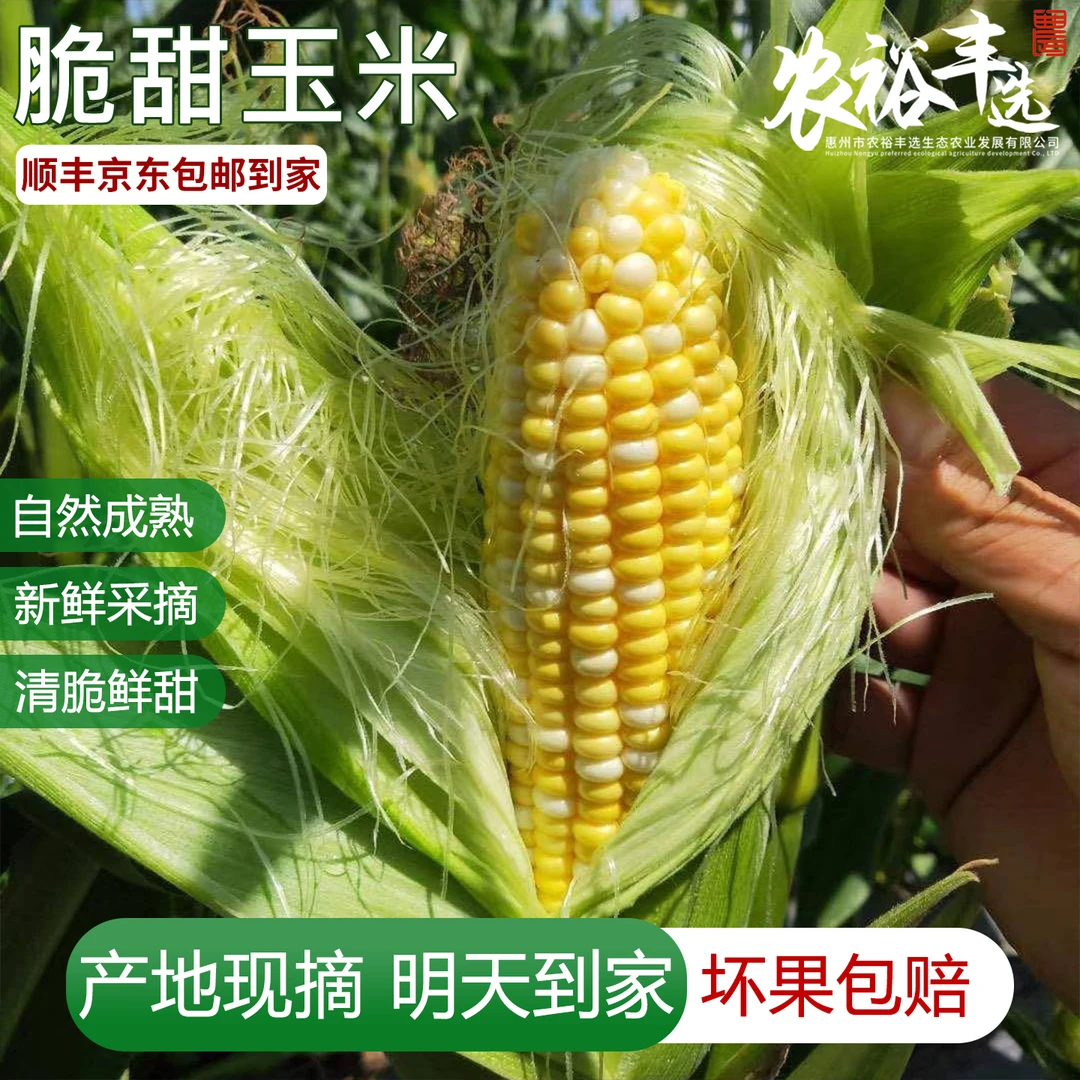农家甜嫩玉米5斤【次日达】本地水果玉米金银甜玉米现摘现发新鲜蔬菜脆甜爆浆京东包邮送货上门金银玉米广东省