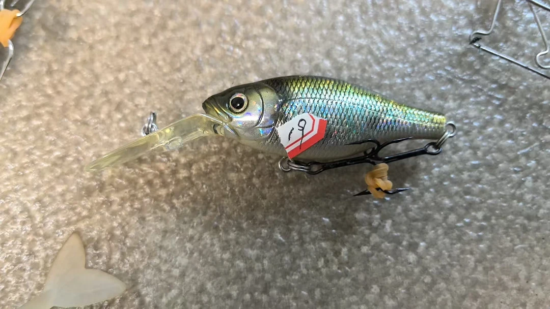 20250215-19 路亚饵