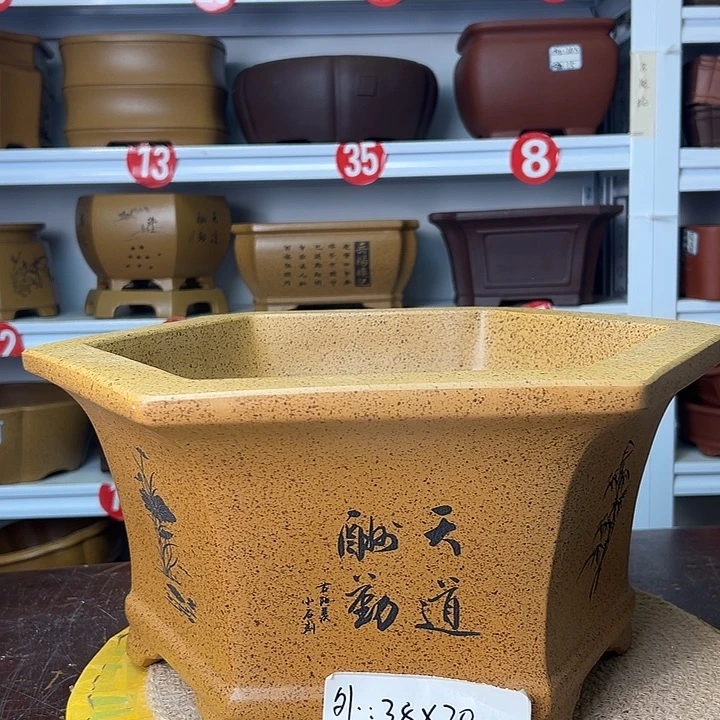 紫砂花盆你在一起