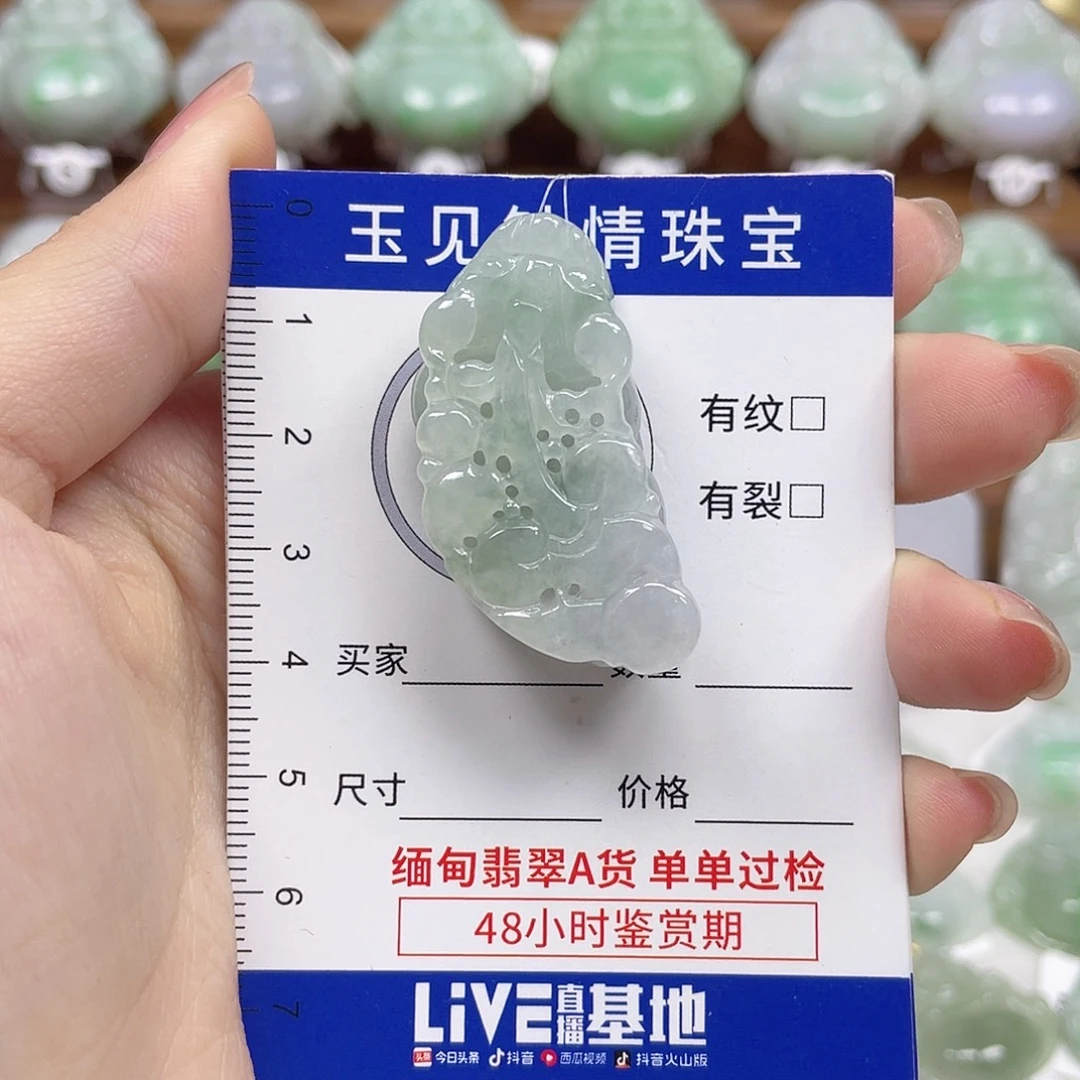 翡翠未镶嵌颈饰貔貅