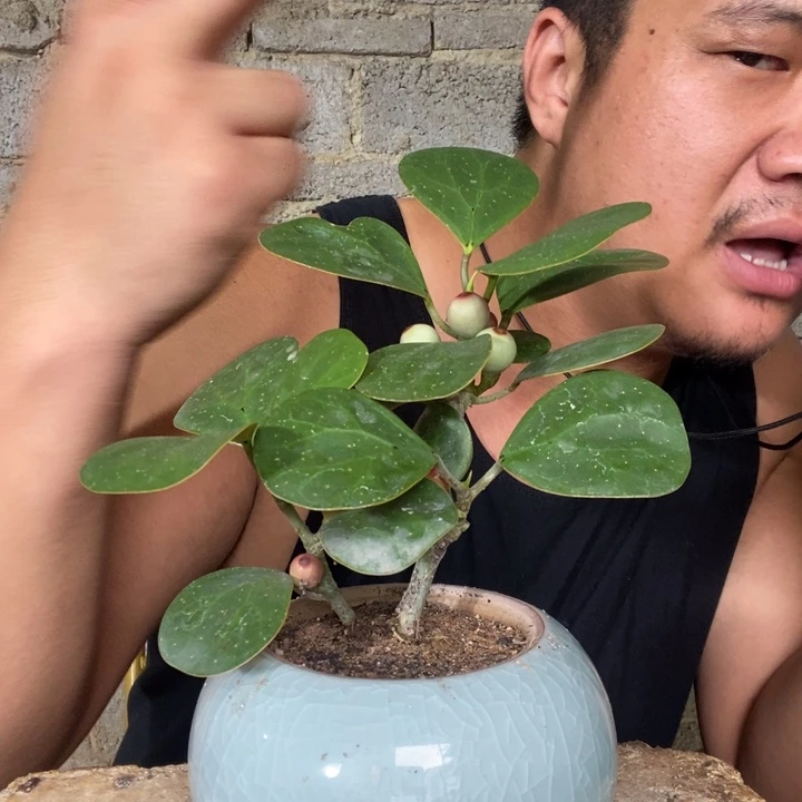 ?***?退款拉黑一物一拍42