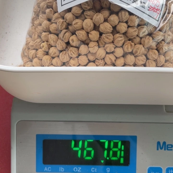 启****塘果百香散籽白芽微莲花矮原装7.5+ 467g