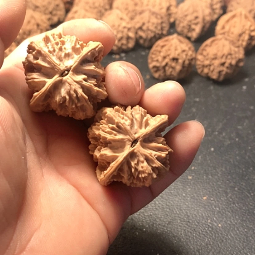 【闪购商品】一**道金牛