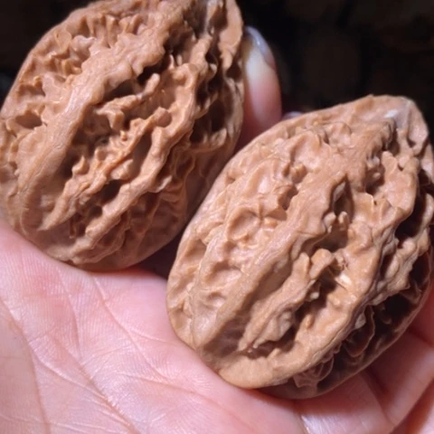 文玩核桃把件东北野生楸子小美30