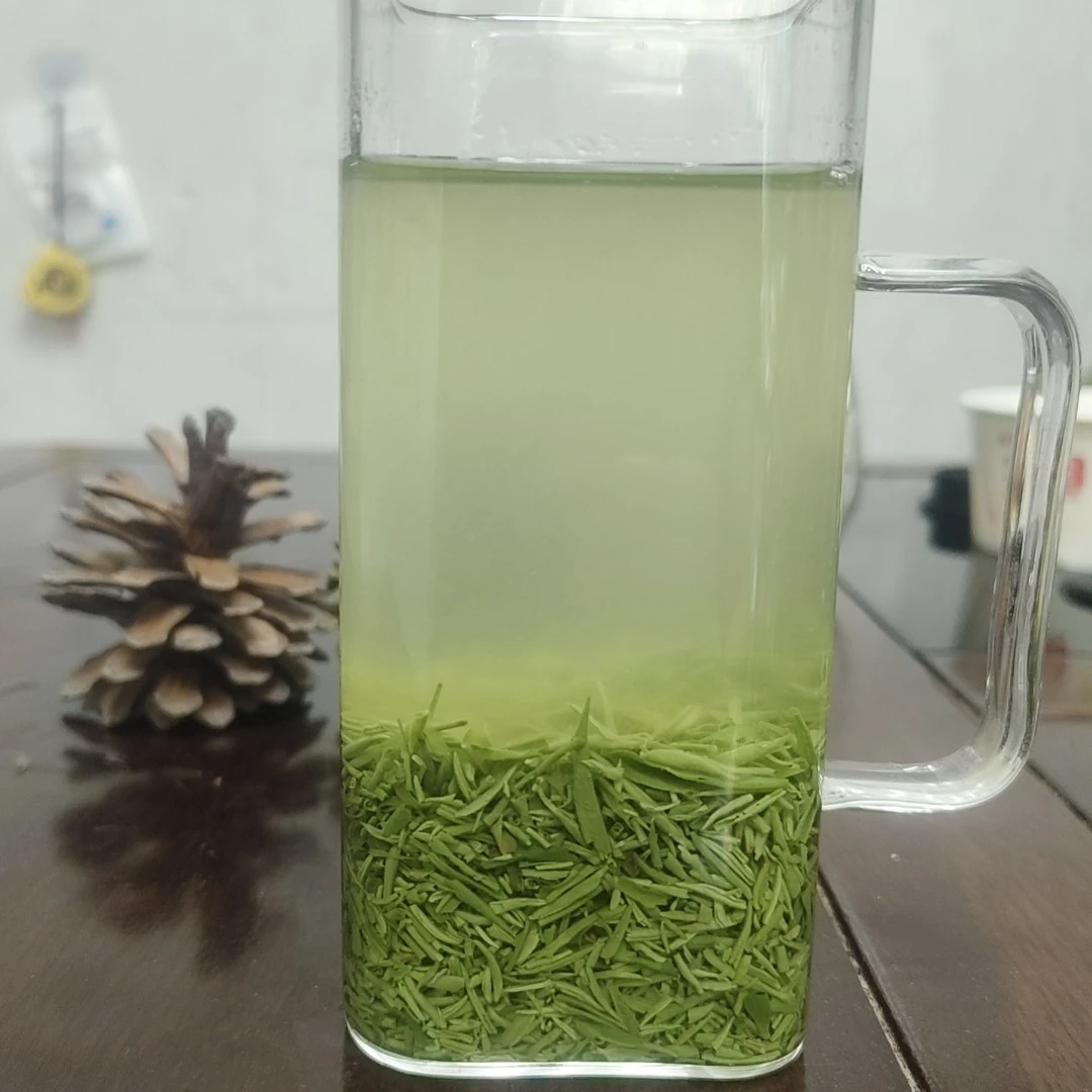 2025年信阳毛尖绿茶【A12】明前断芽风针500g