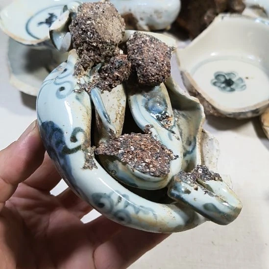 瓷片瓷片瓷片瓷片瓷片