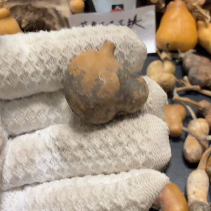 热***圆66666767777778888999