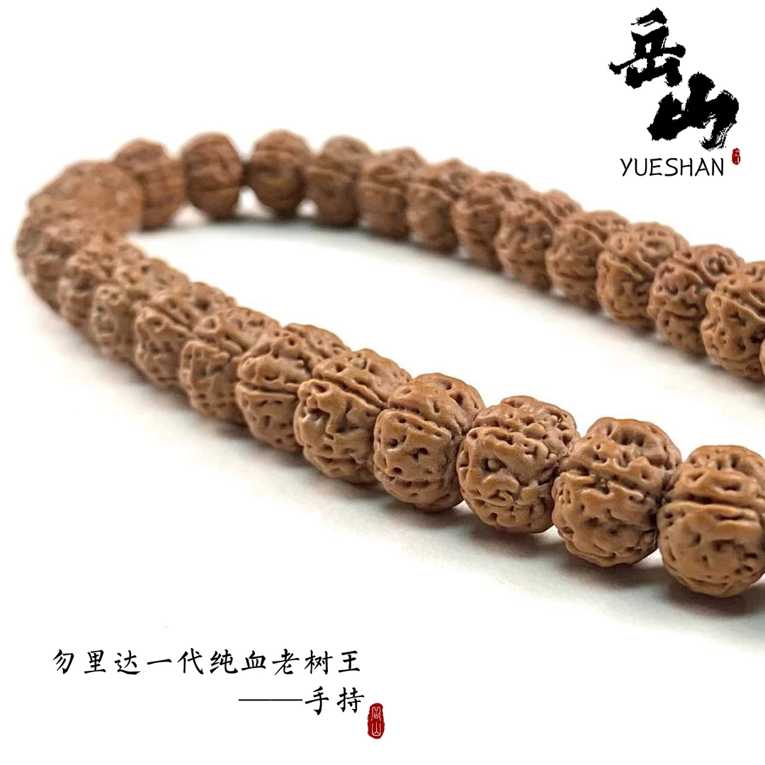 岳山出品｜勿里达一代纯血老树王（手持）