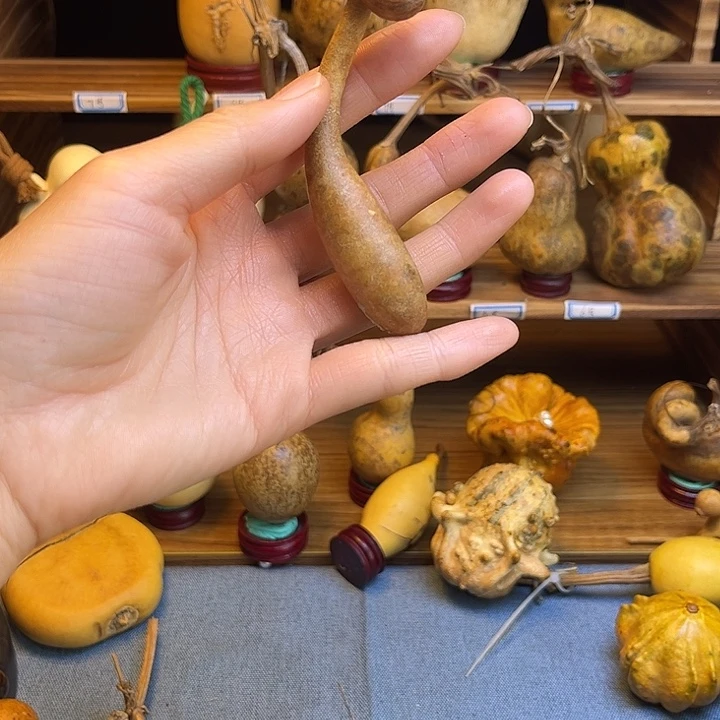 想***9葫芦公交线路15515888