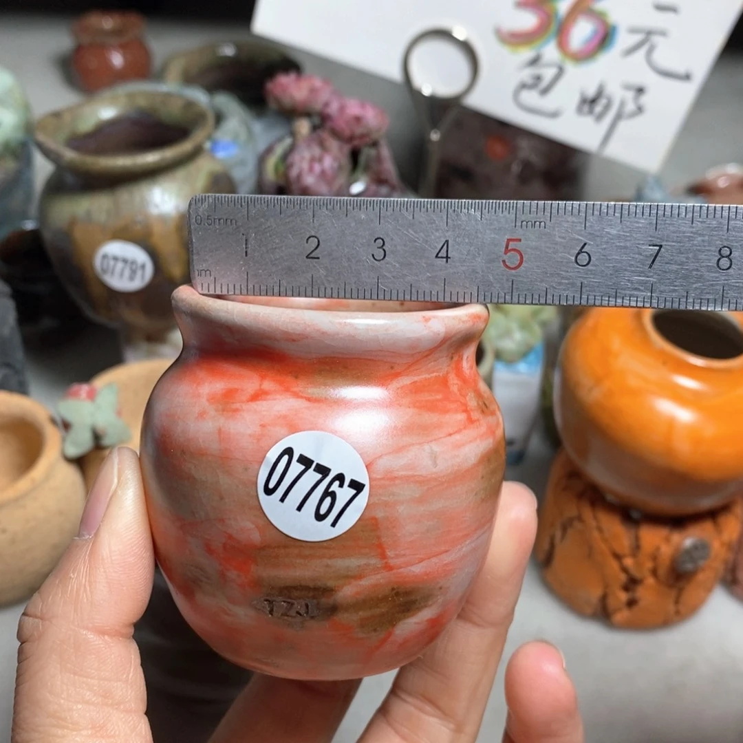 花盆拍5送一个小礼物