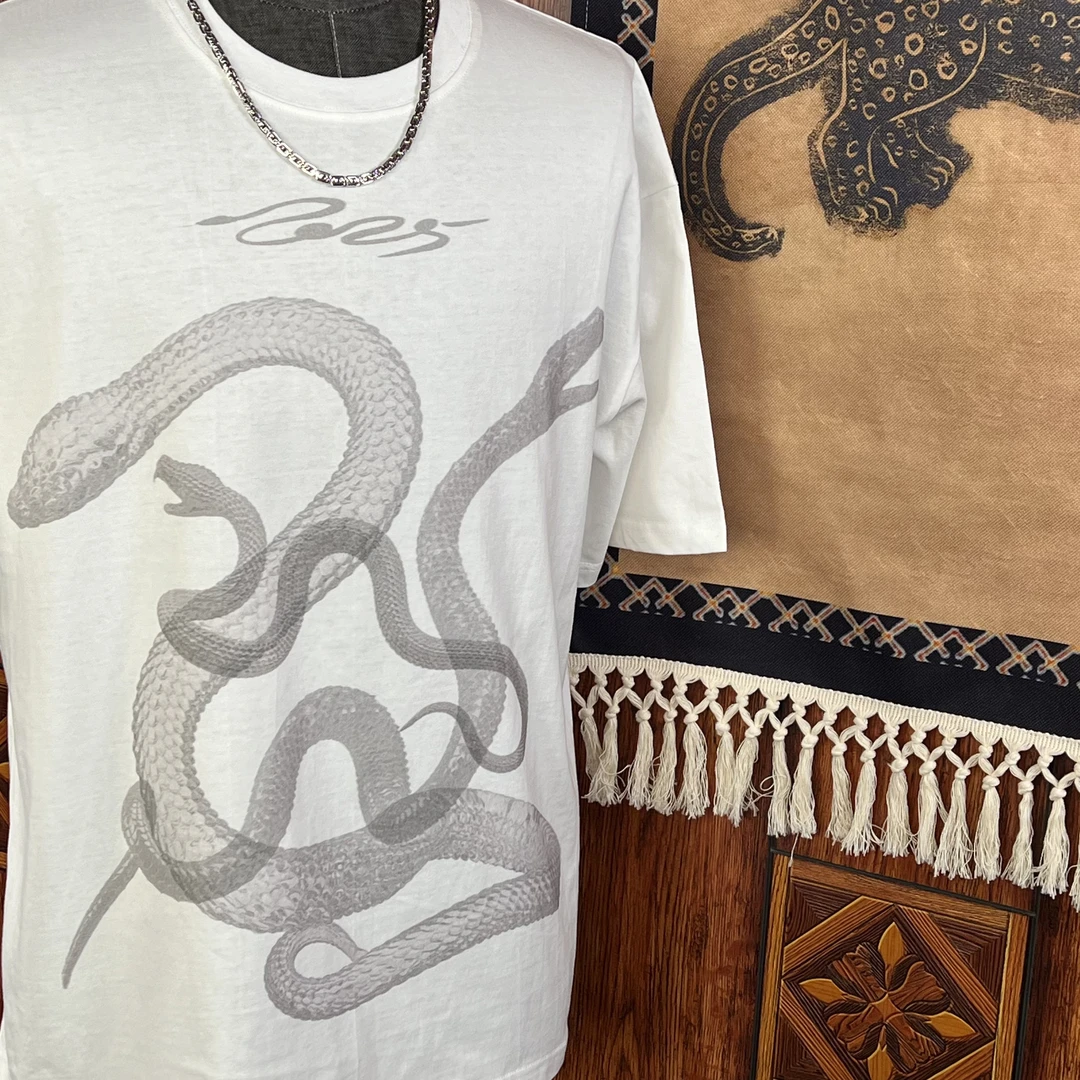 「POWER DREAM」年度款"巳蛇"oversize小众设计重磅260g数码直喷T恤