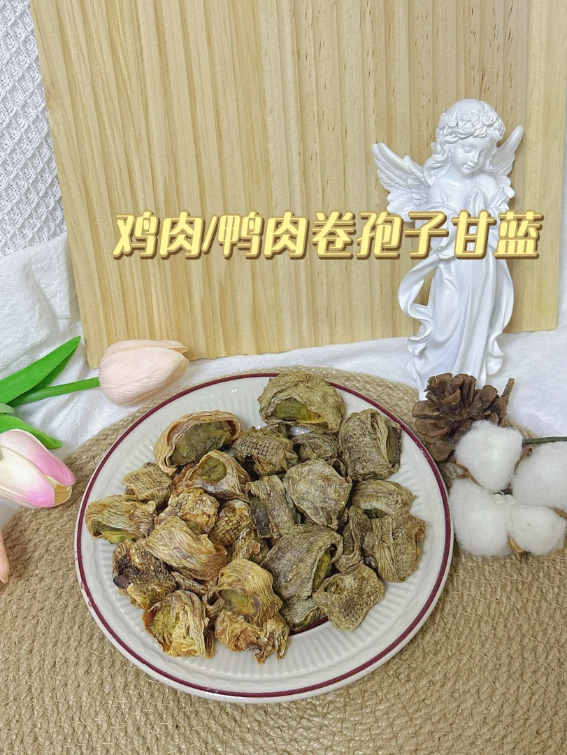 宠物鸡/鸭肉卷孢子甘蓝荤素搭配奖励零食