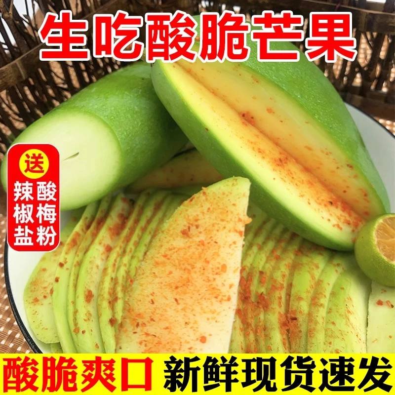 【生熟两吃】云南生吃酸青芒果脆生芒果酸野腌制商用新鲜