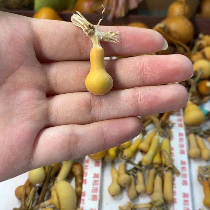 葫芦葫芦葫芦葫芦葫芦