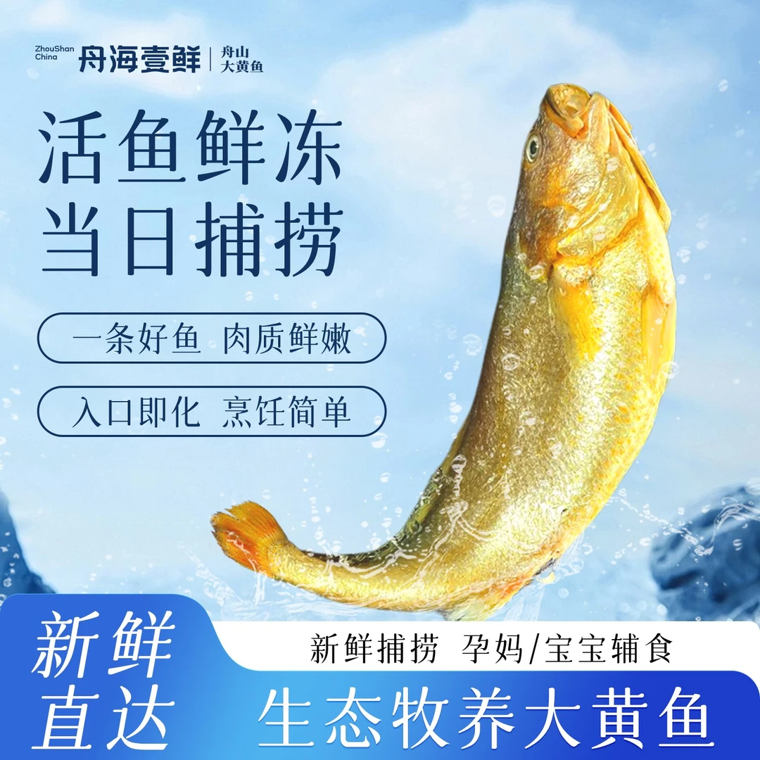 舟海壹鲜鲜冻大黄鱼·（单条重350-500g）原产地直发顺丰冷链包邮炸鱼海鲜