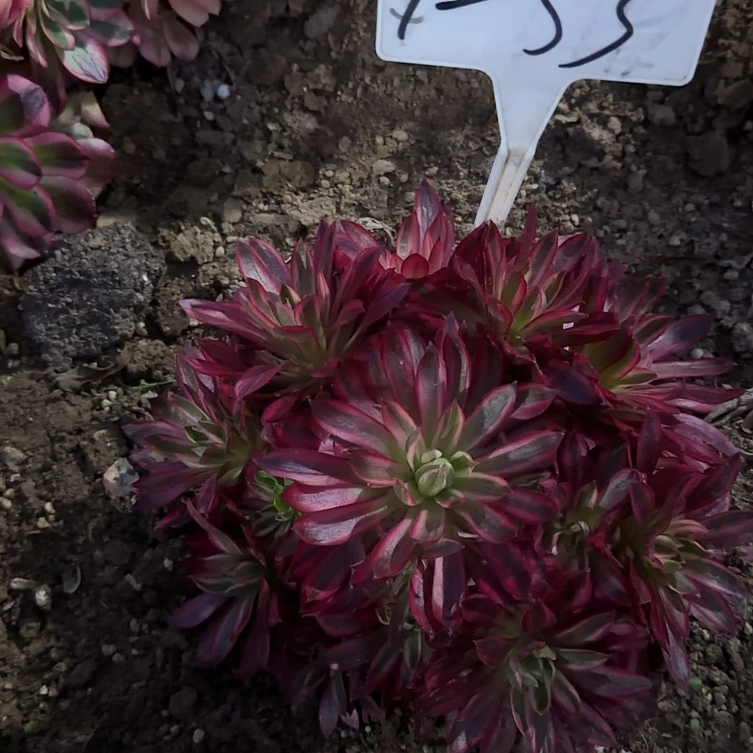 1-53--------_xxxxxxxx