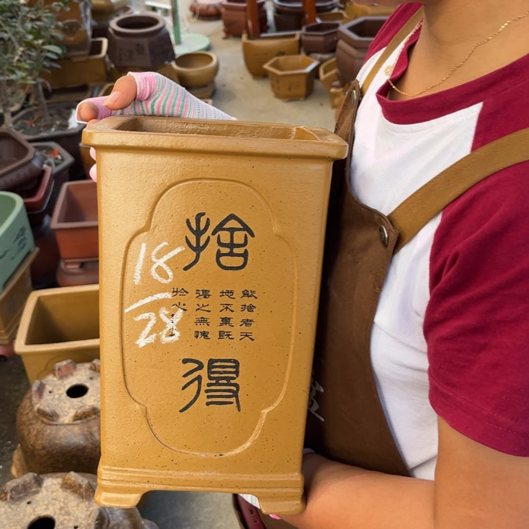 紫砂花盆盆景艺术