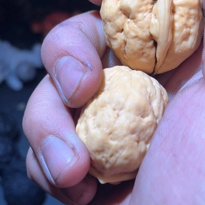 文玩核桃吊坠今**空滇西29