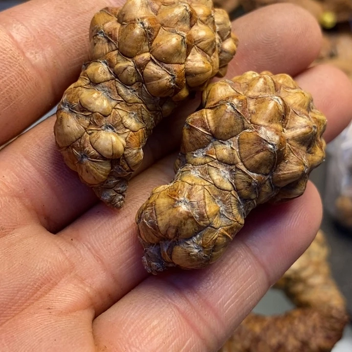 文玩核桃吊坠拿姐工艺255
