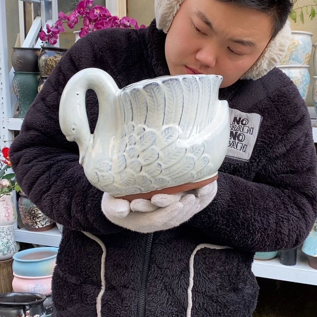 紫砂花盆口18高18福利