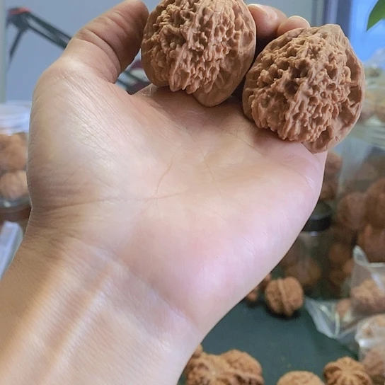 【闪购商品】把件文玩核桃41.5满天星珊瑚纹