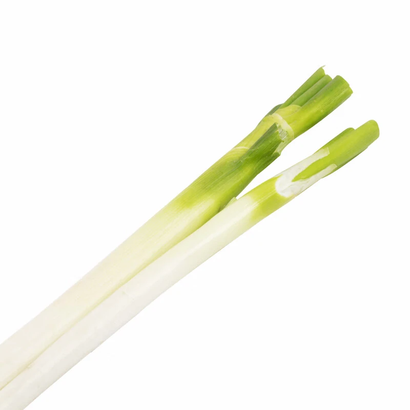 Y大葱一根（克）