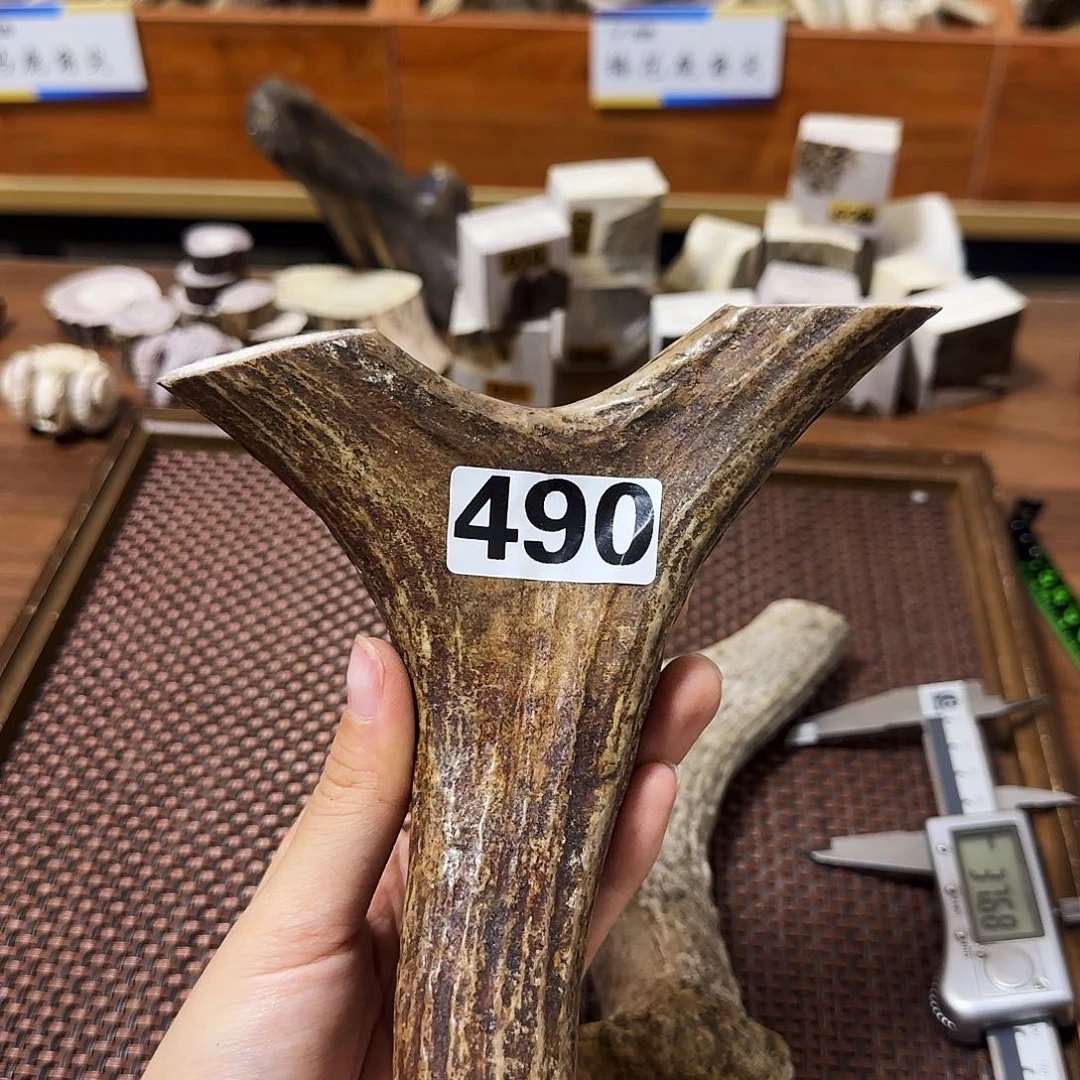 手串/手链鹿骨490弹弓15.6*14*3cm